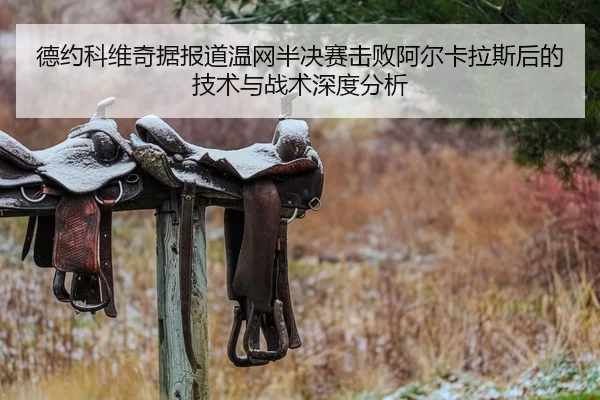 德约科维奇据报道温网半决赛击败阿尔卡拉斯后的技术与战术深度分析
